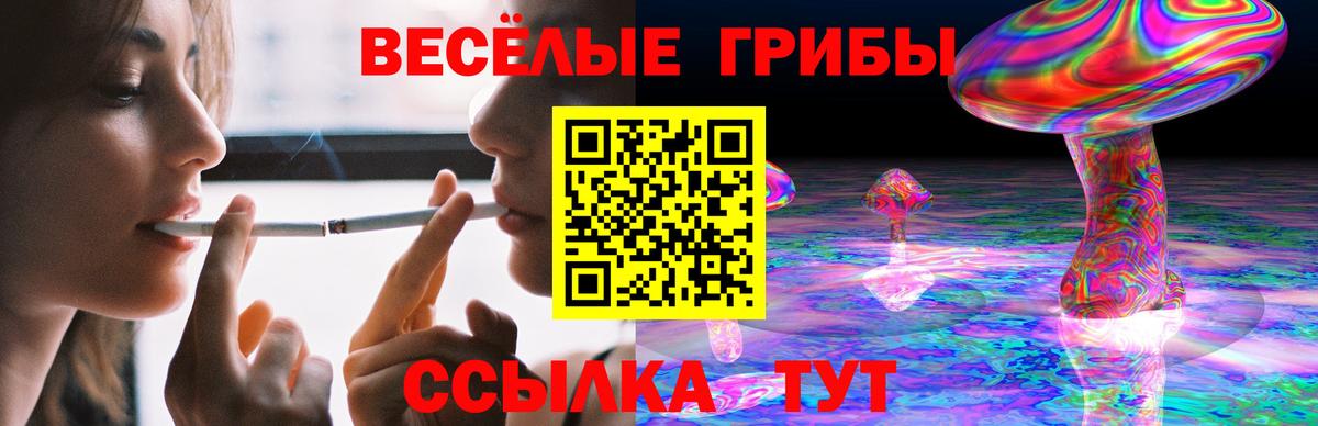 Галлюциногенные грибы Psilocybe  Вход с VPN  Лесной 